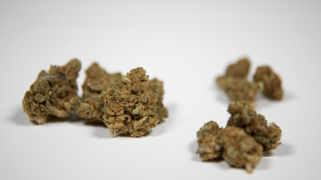 The Future of Anti-Aging and Cosmeceuticals: Is Cannabis the Next Frontier?